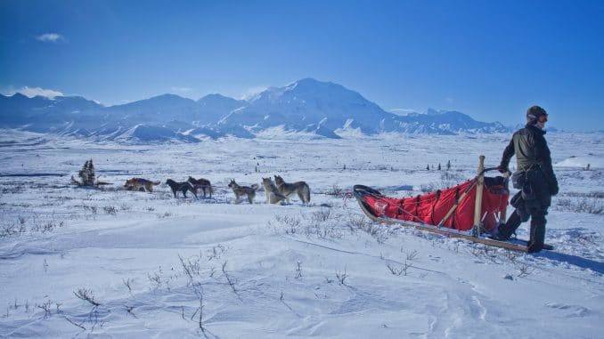 a man with a sled pulled by dogs stood in the snow with mountains in the background