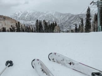 skis and pole