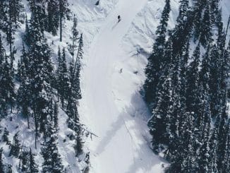 skiers on piste