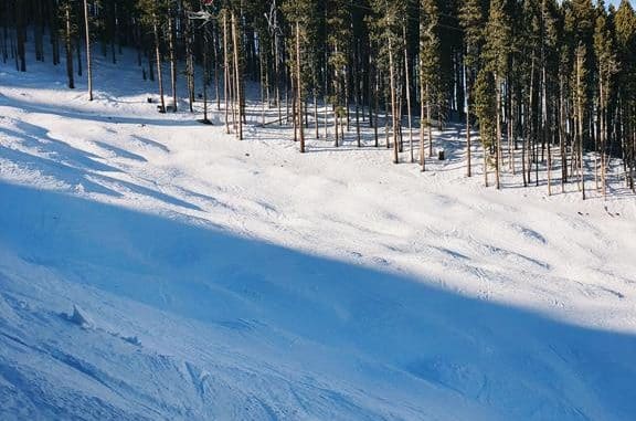 Snowy landscape